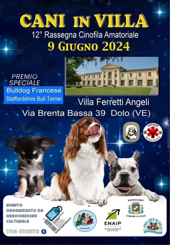 Cani in Villa – 12° Rassegna Cinofila Amatoriale