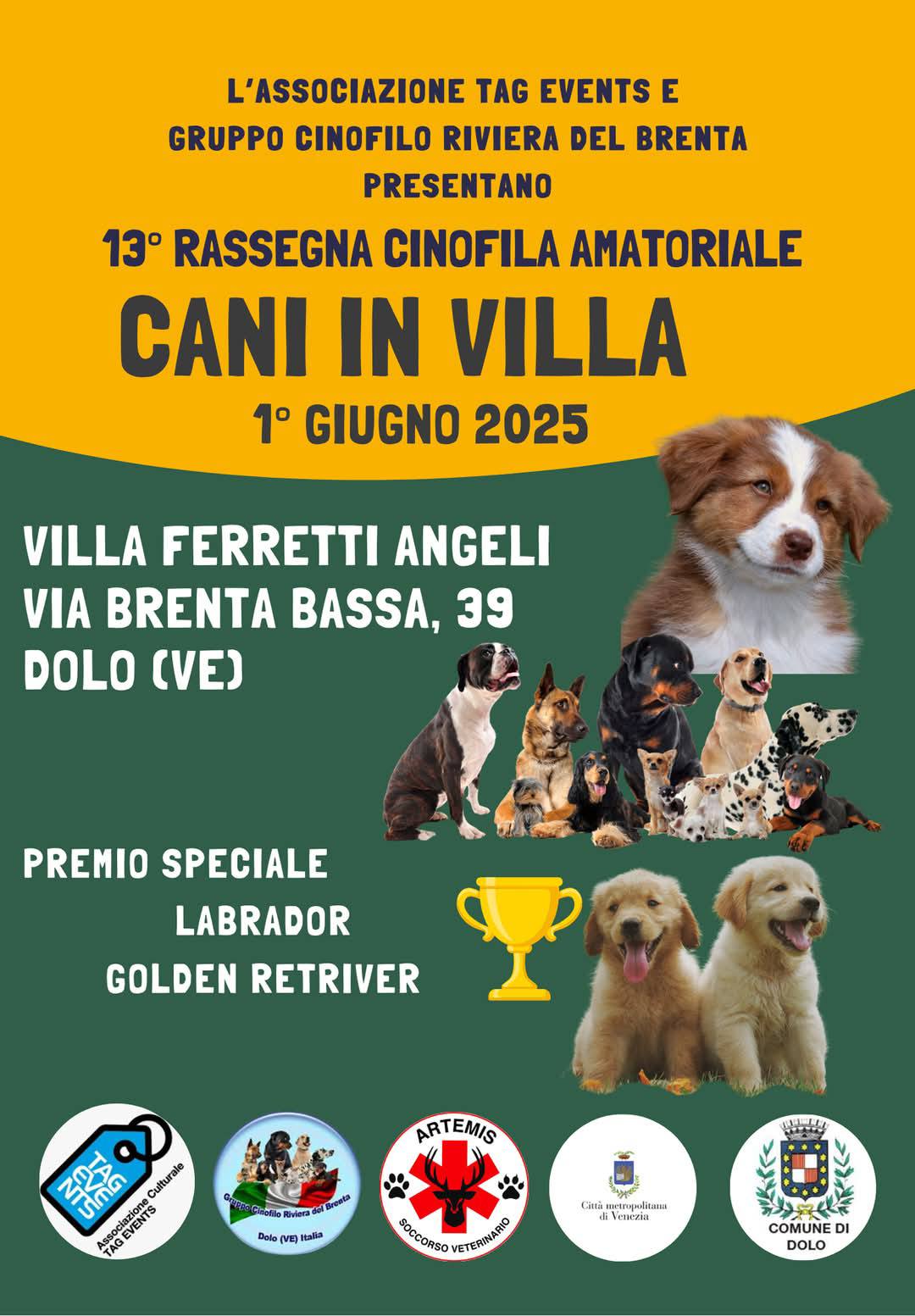 Cani in Villa – 13° Rassegna Cinofila Amatoriale